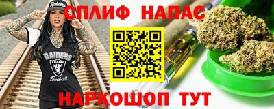 МДПВ Славгород