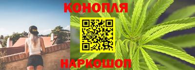 МДПВ Славгород