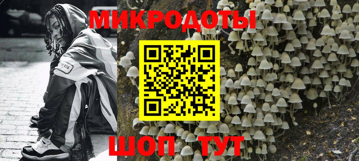 Галлюциногенные грибы прущие грибы Новотроицк