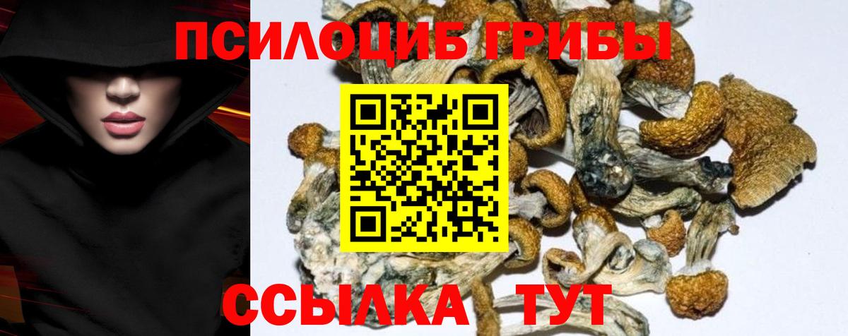 Галлюциногенные грибы Psilocybine cubensis  Вход с VPN  Новотроицк 